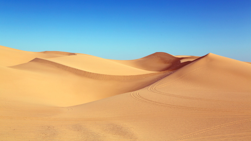 A desert sandscape of rolling dunes and a cloudless blue sky